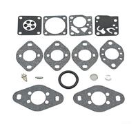 Zoegneer Kit di riparazione carburatore per Tecumseh serie 640347 e TM049XA, comprese guarnizioni e componenti per apparecchiature elettriche esterne Restauro motore e Performance Imp