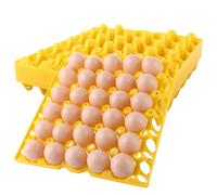 ZOFUN 20 contenitori per uova, contenitore per uova per frigorifero, scatola per uova, in plastica per 30 portauova, per conservare e inviare uova (blu)