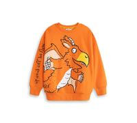 Zog Arancione Character Felpa Unisex Neonati e Bambini Piccoli