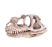 Zohisin Dinosauro Skeleton Modello ENORME 23,0 × 16,0 × 12.0 Skull di dinosauro in resina con alta simulazione Dettagli vividi per la decorazione dell'ufficio soggiorno Insegnamento e
