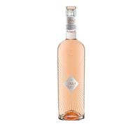 Zolla Vino Rosato da vitigno Nero di Troia 6 Bottiglie 75 cl.