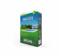 Zollaverde maciste 1kg semente semenza erba dose per 40mq