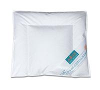 ZOLLNER Cuscino per bambini 35x40 cm - guanciale con 90% piumino e 10% piume - fodera in cotone di alta qualità - Made in Germany - lavabile fino a 60°C - per bambini fino a 2 anni di età