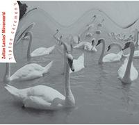 Zoltan Lantos' Mirrorworld - Tiptoe Ceremony