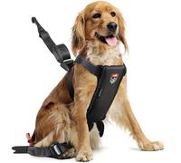 Zolux Babyauto Dog Travel Imbracatura di Sicurezza Nera M