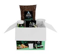 ZOMA Kit rinvaso per piante verdi con Terriccio 6L, 3 Vasi trasparenti, concime e radicante per talee, Kit professionale ideale per tutte le piante verdi - Made in italy