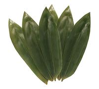 Zongzi - Kit per creare foglie di bambù naturale essiccate per vari scopi e alimenti, 100 foglie ecologiche per gnocchi