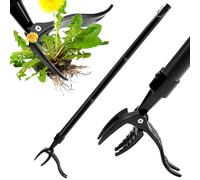 zonmtreo Estrattore di erbacce staccabile, con manico lungo, strumento per rimuovere erbacce e dente di leone, resistente, strumento per rimuovere le erbacce da giardino con manico lungo (acciaio