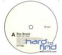 Zoo Brazil - Wasp Not Wasp