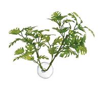 Zoo Med Laboratories AZMBP25 Betta Plant Finestra Foglia