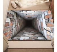 zoocco 3D Optical Illusion Rug That Looks Like a Hole, Realistic Vortex Hole Rug for Home Décor, Funny Prank, Non-Slip 3D Area Rugs for Living Room, Bedroom, Entryway, Parties (II,30 * 40cm)