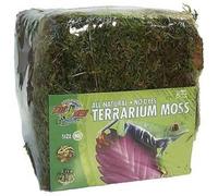 Zoomed Terrarium Moss Busta