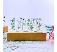 Zopmopae Nome personalizzato Lettera Lampada Personalizzata Lettere di fiori secchi Lampada a luce notturna Fiore Resina Lettera Luci Decorazione della casa Regalo per gli amanti della famiglia Amici