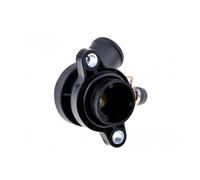 Zoppicare Termostato Acqua Per