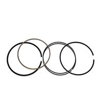 Zorlun Set di fasce elastiche for pistone compatibile con motore HISUN800cc, corpo cilindro, quad, dune buggy P0100001311A0000 1311A-010000-0000