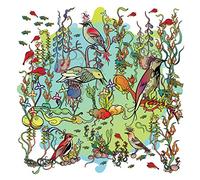 John Zorn Oo (CD) Album