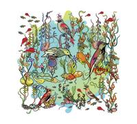 John Zorn The Dreamers - The Gentle Side (Vinyl LP)