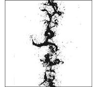 John Zorn The True Discoveries of Witches and Demons (CD) Album