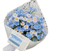 ZORVYN 1 set Pezzi Scovolini Colorati per Lavoretti, Set Pipe Cleaner per Creare Piccolo bouquet blu, Pulitore per Pipa per Fai Da Te con Carta da Pacchi
