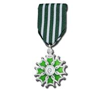 ZoTuoART Ordre des Arts et des Lettres (copia) - Il cavaliere dell'ordine delle arti e delle lettere in Francia - Medaglia ufficiale Chevalier argento