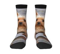 Zouey Calzini a metà polpaccio con protezione dall'umidità, calzini casual a metà polpaccio, calzini sportivi casual da corsa, ritratto di uno Yorkshire Terrier in miniatura, foto di Yorkie