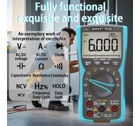 ZOYI ZY-Y2 Multimetro digitale professionale Tensione AC/DC Corrente NCV Capacità Resistenza Cicalino Hertz Strumento di misurazione