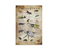 ZOZO HOUSE Beetles Around The World - Salotto da 60 x 90 cm
