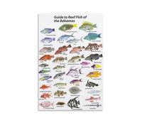 ZOZO HOUSE Introduzione al corallo Fish in The Bahamas Wall Art 30 x 45 cm