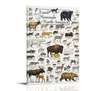 ZOZO HOUSE Land Mammals of North America - Stampa immagine 60 x 90 cm