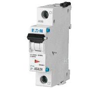 ZP-ASA/24 Trigger di crescita 248438