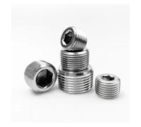 ZPTPNGWH 5pcs 3/8" BSPT Male Therad 304 Stainless Steel Internal Hex Pipe Fitting End cap
