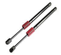 ZQINGQING Ammortizzatori Cofano Motore 2X 2X Tronco Posteriore Porta Tailgate Boot Boot Gas Spring Shock Lift Stitute Supporto Adatto for Tesla Modello 3 2017 2018 2019 2020 Accessori Auto