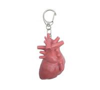 Zqxnt Portachiavi in lega raffigurante organi umani un regalo premuroso per un amico che vive sfide emotive portachiavi organo, Cuore spezzato da Scumb, Taglia unica