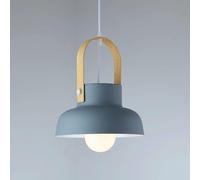 ZR98US Personality Adjustable Single Head Chandeliers Personalized Small Hanging Decoration Ceiling Metal Pendant Light, Chandelier