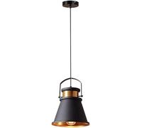 ZR98US Retro Industrial Style Metal Shade, Ceiling Hanging Light, Single Head Wrought Iron Pendant Lamp, Bar Cafe Decoration Fixture, Chandelier
