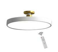 ZRBBRE Plafoniera LED Dimmerabile con Telecomando, Lampada da Soffitto Minimalista, Interni IIluminazione per Soggiorno, Camera da letto e Cucina (Bianco, 30CM 18W)