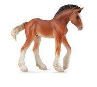 Zrebie Clydesdale bay M