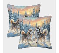ZRHSADO The American Eskimo Dog Fodera Per Cuscino Decorativo Moderno Coperchio Set Di 2 Alta Qualità Quadrati Esterno Giardino 50x50cm