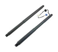 ZSGHJA Ammortizzatore A Gas Bagagliaio 1668901130 1668900430 1669802164 Supporto Sollevamento Elettrico Portellone Posteriore per Mercedes per Benz W166 Ml Gle-Class Ammortizzatori Gas(Pair)