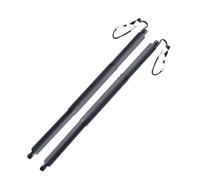 ZSGHJA Ammortizzatore A Gas Bagagliaio Coppia di Supporti per Portellone Posteriore, Montanti per Venza, per Harrier, per Axuh85, per Nxua80 2022+ 689200e070 689100e120