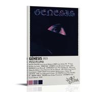 ZSJUMK Genesis Peso, PlumaCanvas Murales impermeabile, resistente ai graffi, resistente ai raggi UV, elegante decorazione per casa e ufficio, design classico e moderno, stile cornice, 40 x 60 cm