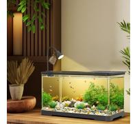 Zstar Acquario da tavolo Betta con luce e ossigenazione, 18 l, set di base per acquario, per gamberetti, meduse, pesci rossi
