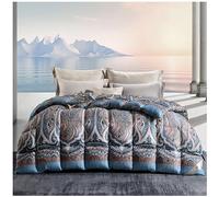 ZTGL Bedding Invernale Piumone Caldissimo Piumino in Piuma, D'Oca di 95% Piuma, Leggero E Traspirante, Matrimoniale, Lussuoso Dermocompatibile Cotone Stampato, Anallergica,A,220x240cm(2200g)