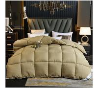 ZTGL Bedding Invernale Piumone Caldissimo Piumino in Piuma, Oca di Alta qualità, Extra-Leggero,Matrimoniale, Fodera in Puro Cotone, Piumino 4 Stagioni Tinta Unita,F,220X240cm(4kg)