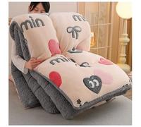 ZTGL Calda Coperta in Cashmere, Nucleo Trapunta Trapuntato Invernale, Piumino Sherpa Super Morbido, Piumone in Microfibra, Coperta Comfort Imbottita,G,200x230cm(4.0kg)