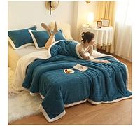 ZTGL Coperta Plaid in Pile Invernale, Morbida e Calda, 1.6-2.9 kg Coperte Spessa Fluffy, Doppia Faccia Peluche Plaid Divano Letto Matrimoniale Super Morbida, Facile da Pulire,Blu,200x230cm/2.6kg