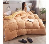 ZTGL Piumino Invernale, Trapunta Piumone Morbida e Confortevole, Coperta Pesante Super Caldo, Coperta Fluffy di Alta qualità, Reversibile Coperta Pelosa per Letto Matrimoniale,B,180x200cm(3kg)