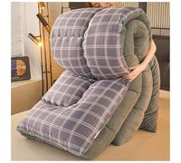 ZTGL Trapunta Matrimoniale Invernale, Piumino Double-Face in Velluto di Agnello Addensare, Calda Coperta da Letto in Cashmere con Nucleo, Trapunta Invernale in Lana Doppia Faccia D, 200×230cm/4.5kg