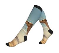 ZTPOWQA Desert Sand Camel Print Travel Running Socks per uomini e donne calzini sportivi per atleti e lunghi voli, 3 nero, Taglia unica