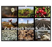 Zu Besuch beim Kaffee (Wandkalender 2026 DIN A2 quer), CALVENDO Monatskalender: Der Kaffee-Kalender aus Brasilien